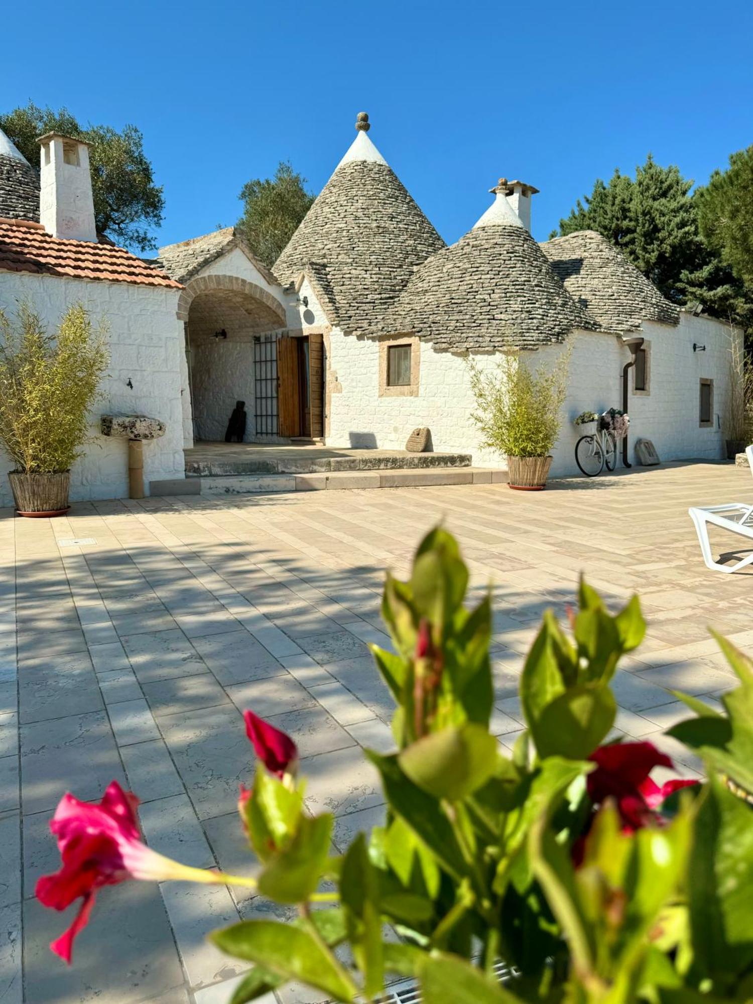 Trulli Bosco Selva Apartment Alberobello Exterior photo