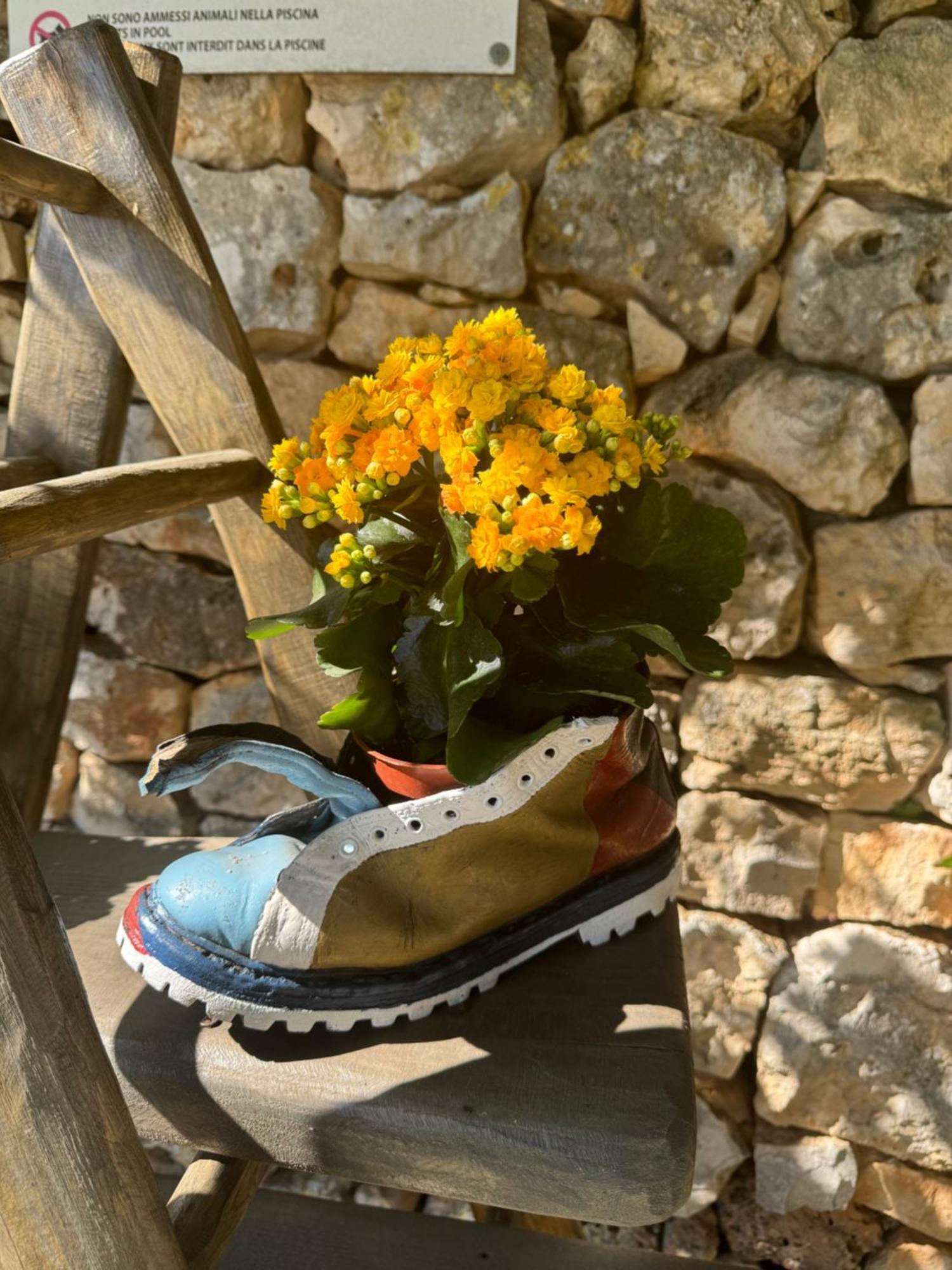 Trulli Bosco Selva Apartment Alberobello Exterior photo